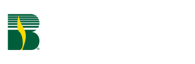 Becks hybrids